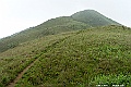 _DSC5965