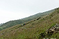 _DSC5971