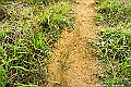 _DSC5973