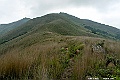 _DSC5976