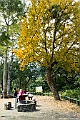 _DSC5626