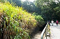 _DSC5628