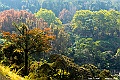 _DSC5676