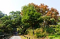 _DSC5681