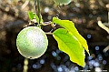_DSC5732