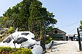 _DSC6096