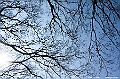 _DSC6114