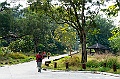 _DSC6141