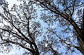 _DSC6149