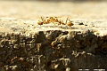 _DSC6159