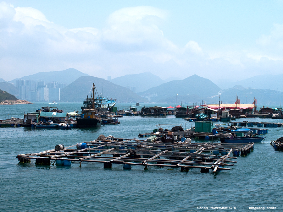 IMG_3661.JPG - 船