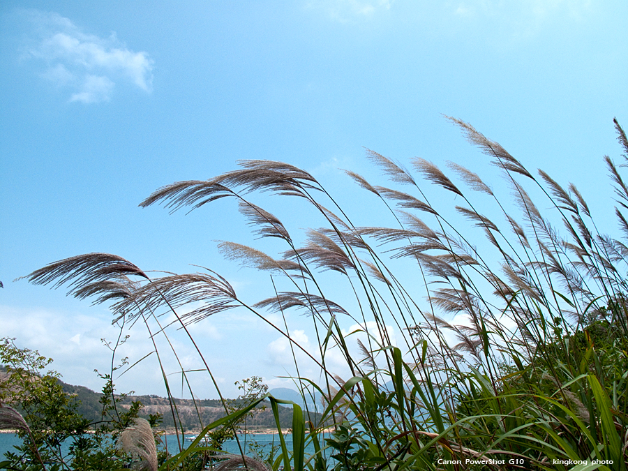 IMG_3677.JPG - 索罟灣