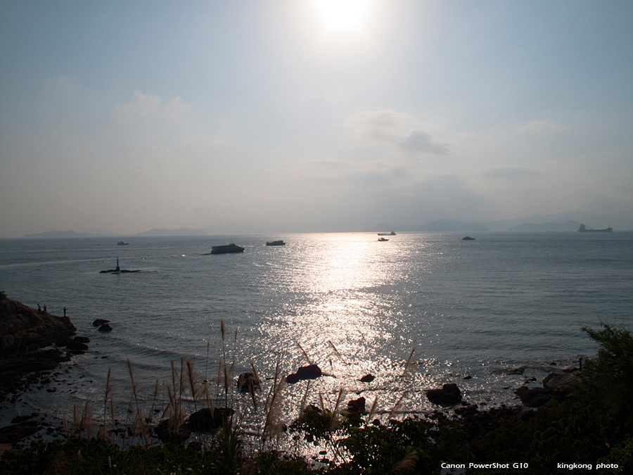 IMG_4055.JPG - 榕樹灣