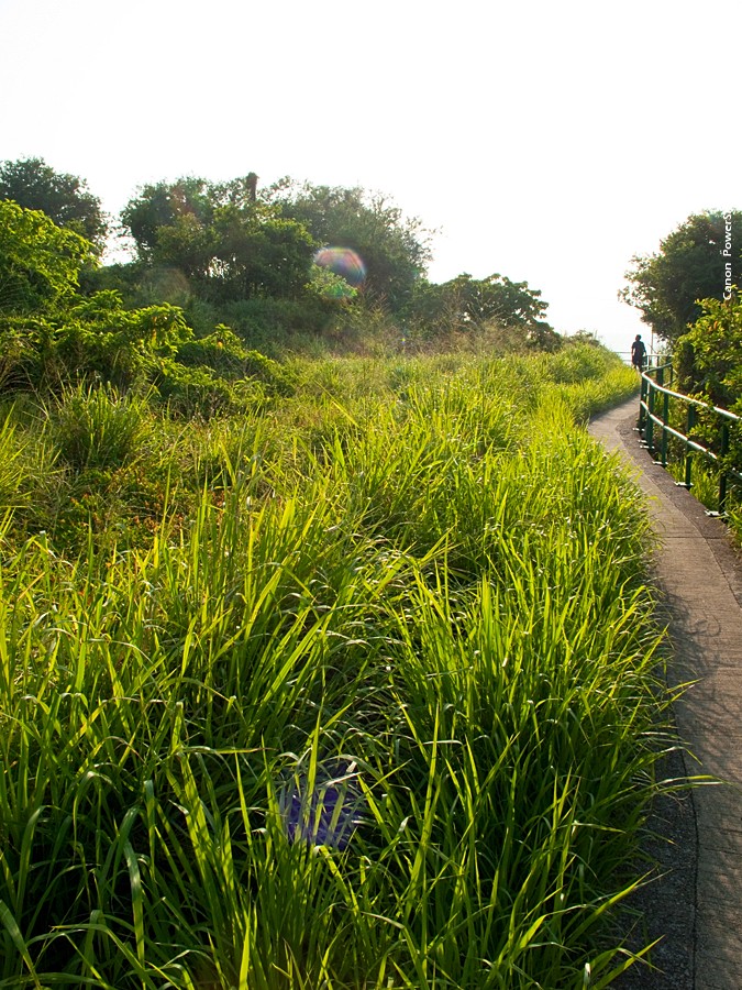 IMG_4059.JPG - 北角
