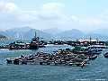 IMG_3661