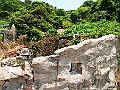 IMG_3684