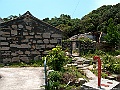IMG_3686