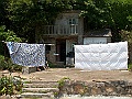 IMG_3688