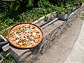 IMG_3689