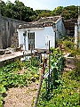 IMG_3692
