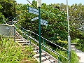 IMG_3694