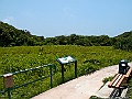 IMG_3696
