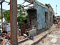 IMG_3742