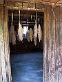 IMG_3781