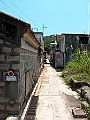 IMG_3789