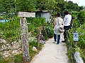 IMG_3917