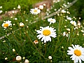 IMG_3922