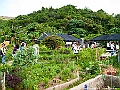 IMG_3925