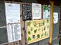 IMG_3926