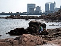 IMG_3936