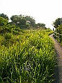 IMG_4059