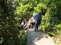 IMG_9780