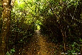 _DSC9065