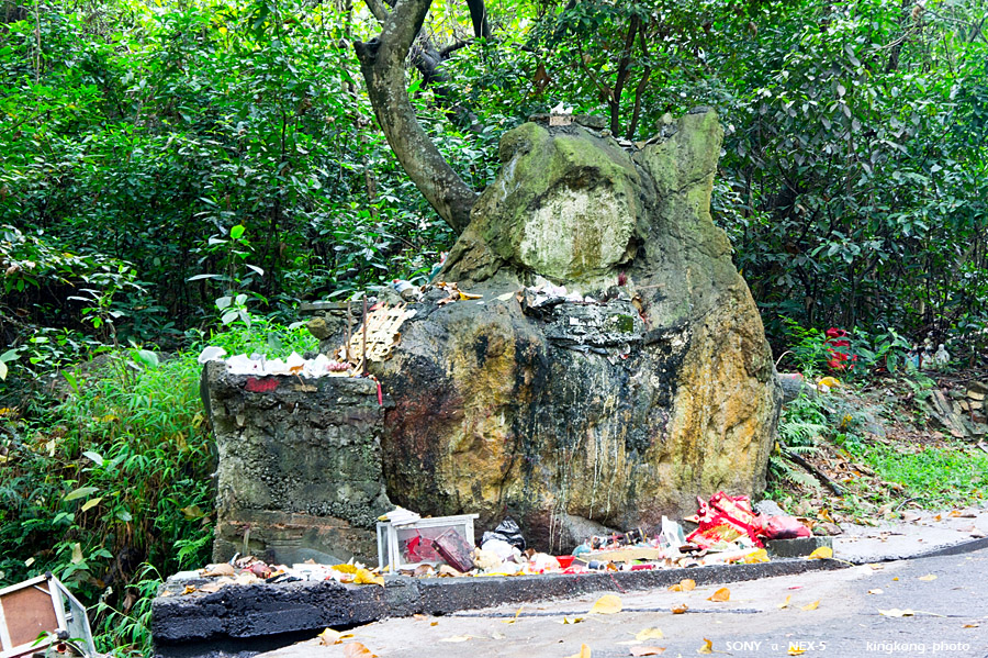 _DSC1962.jpg - SONY DSC