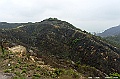 _DSC2050