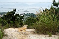 _DSC2142