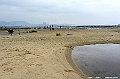 _DSC2152