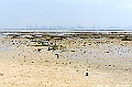 _DSC2153