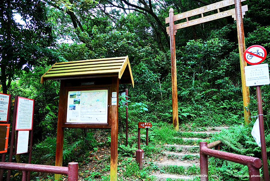 DSC_2107.jpg - LION ROCK