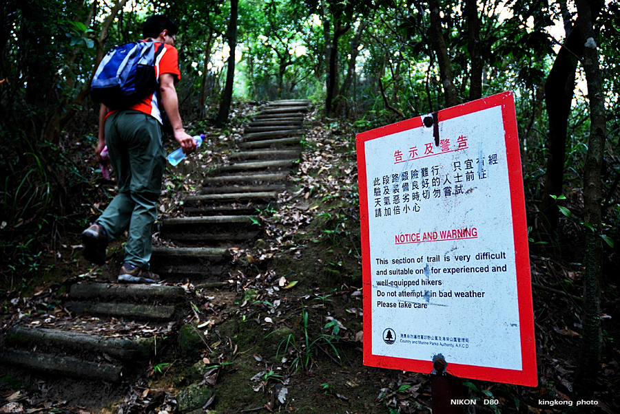 DSC_2154.jpg - LION ROCK
