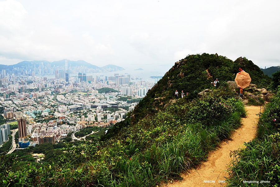 DSC_2253.jpg - LION ROCK