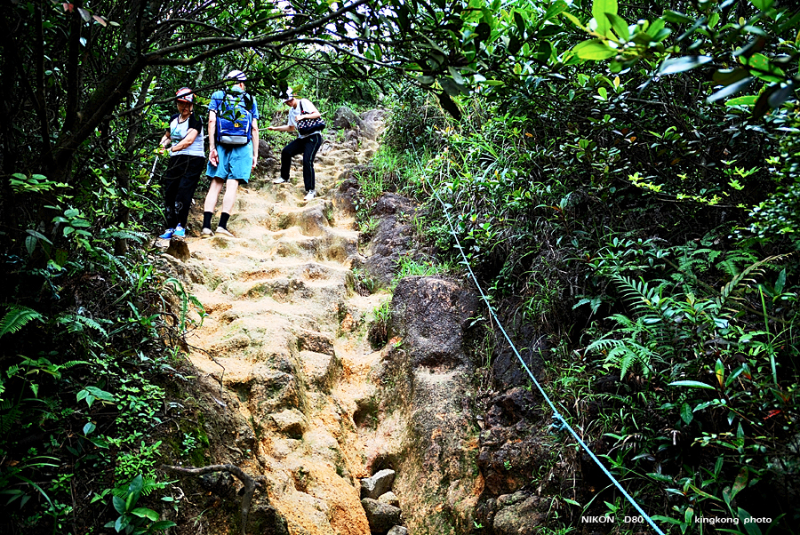 DSC_2291.jpg - LION ROCK