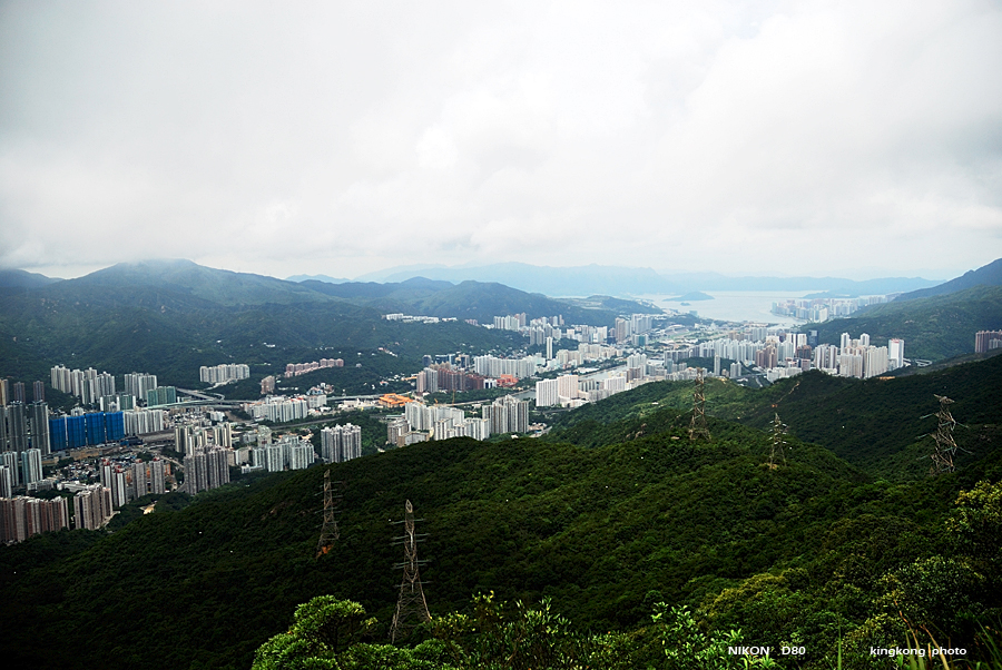 DSC_2296.jpg - LION ROCK