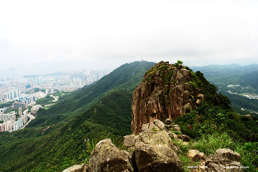 DSC_2323.jpg - LION ROCK