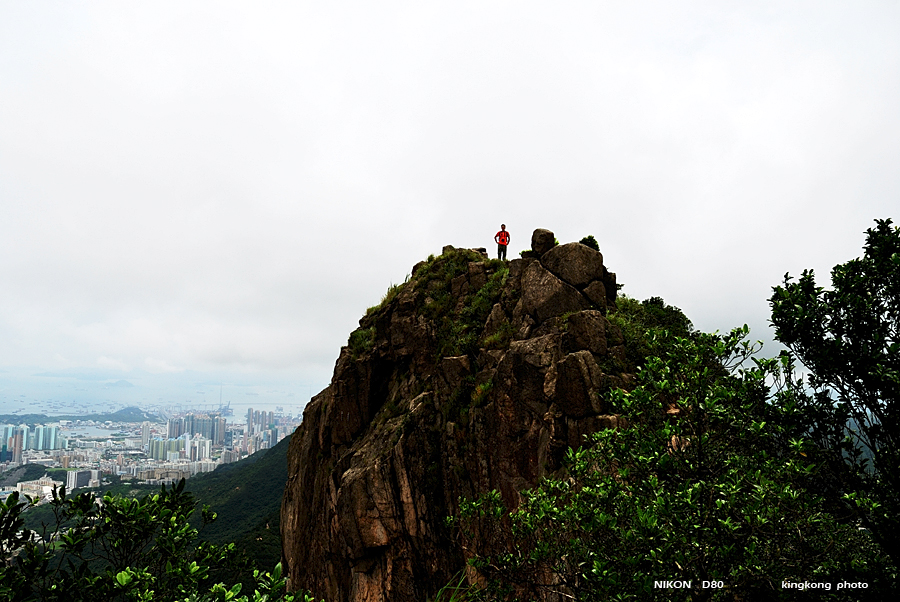 DSC_2324.jpg - LION ROCK