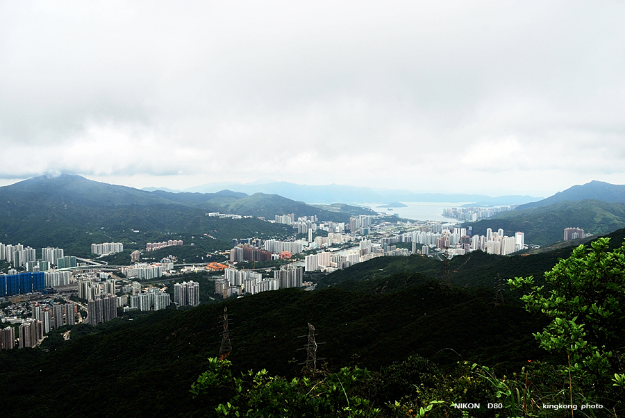 DSC_2357.jpg - LION ROCK
